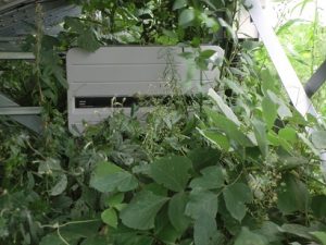 %e3%83%96%e3%83%ad%e3%82%b0%e7%94%a8%e3%80%80%e8%8d%892